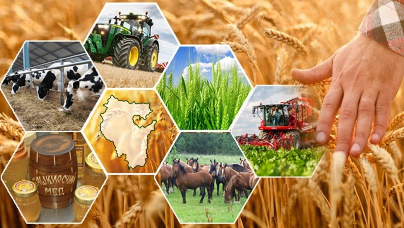 В Башкирии за 5 лет реализовано 12 инвестпроектов по переработке в АПК