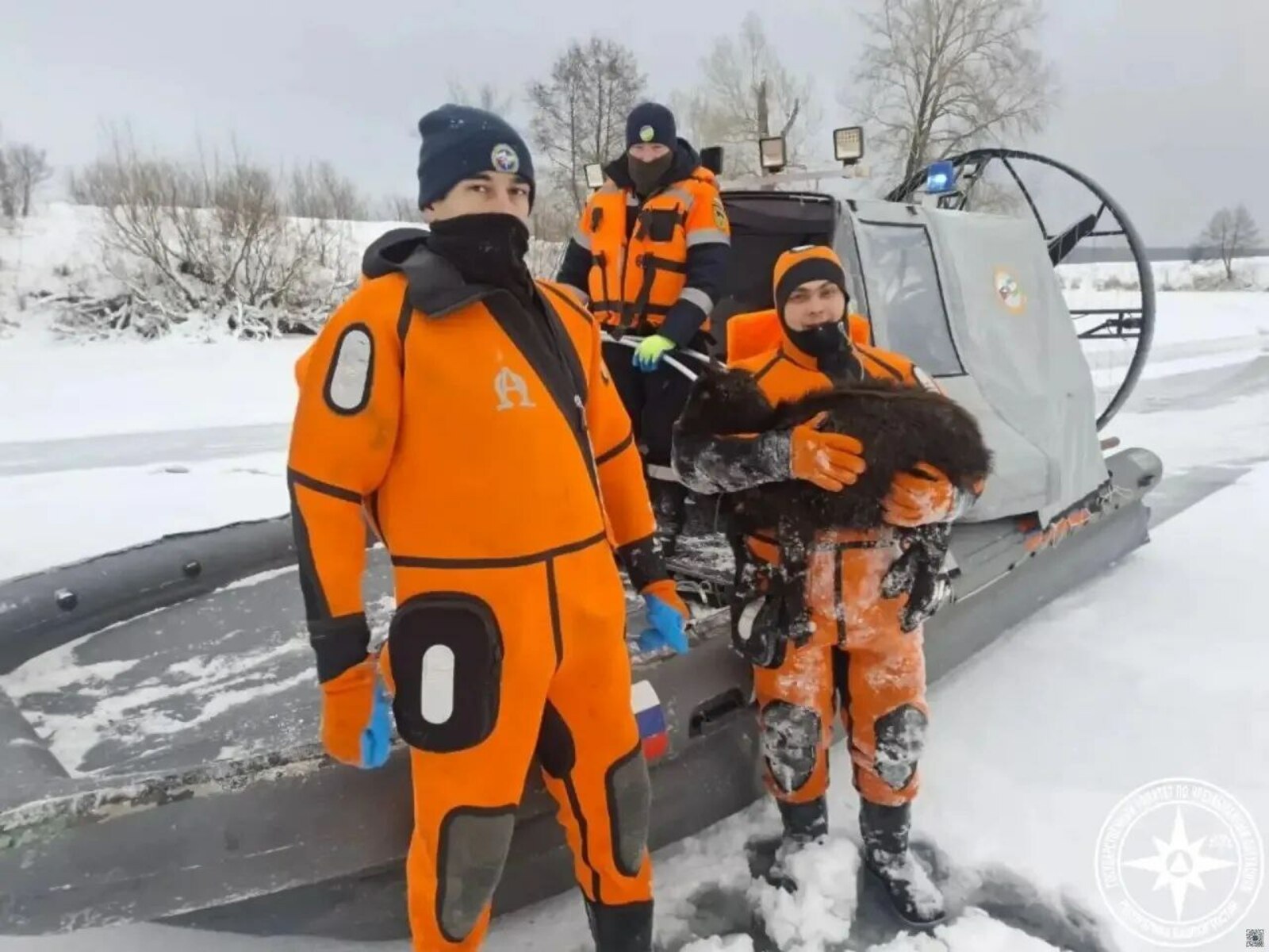 В Башкирии водолазы извлекли из озера 780 овец