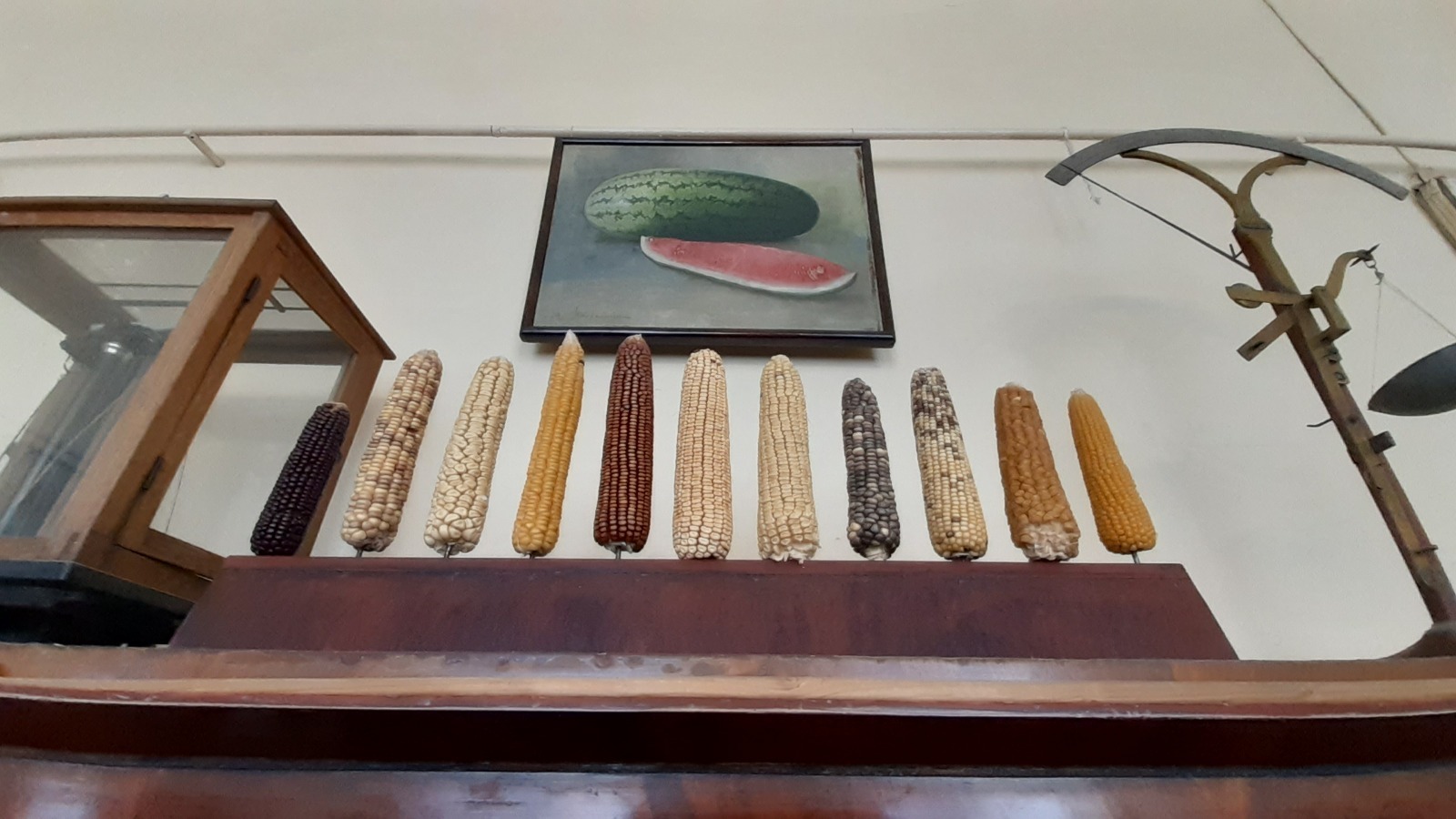 ПАРТА ОТКРЫТИЙ ДЛЯ ОТЛИЧНИКОВ