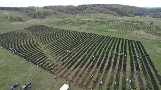 Радий Хабиров: «От души благодарю за этот важный вклад в общее дело!»