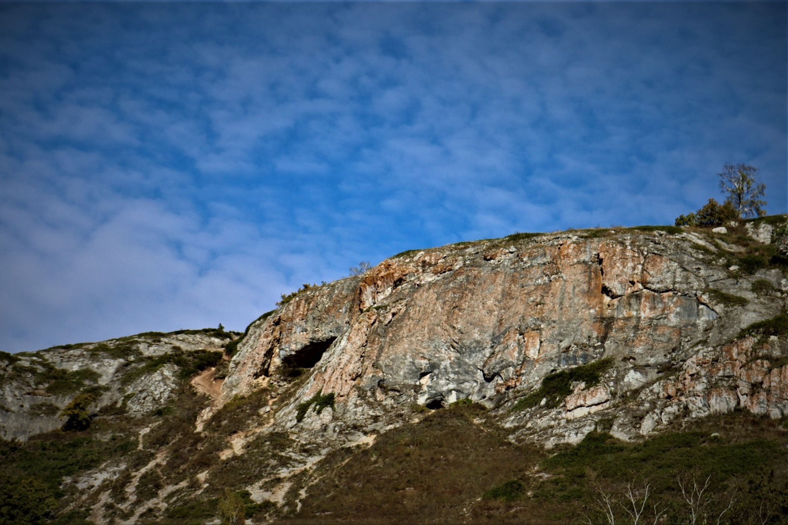 АКУНА МАТАТА, МУРАДЫМ!