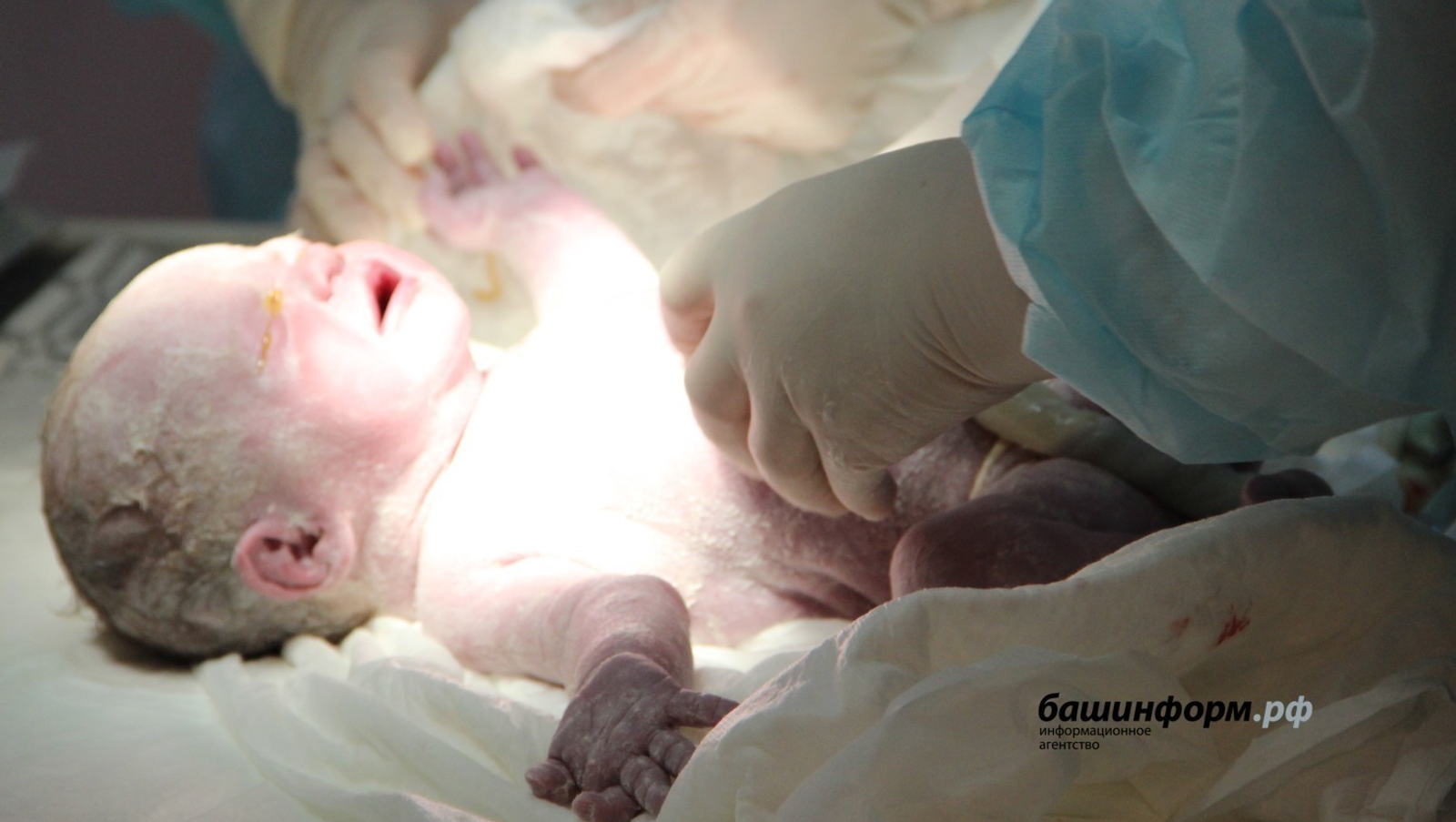 Фото:Ксения Калинина