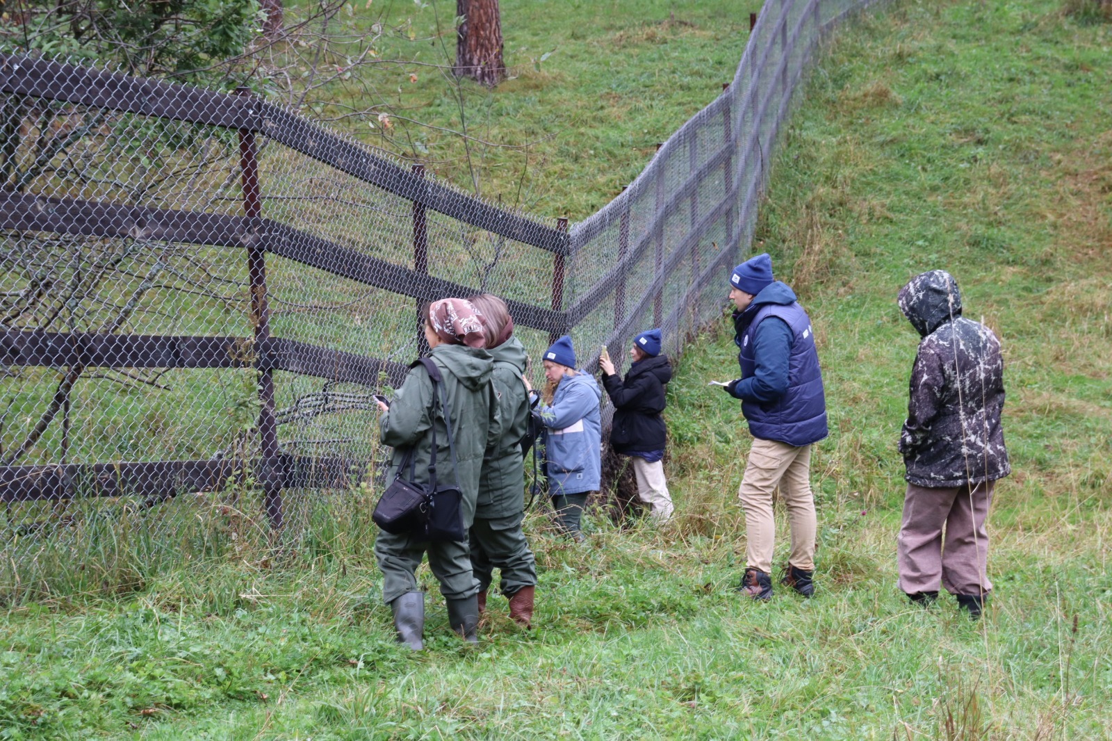 ВОЛОНТЕРЫ РГО СЧИТАЮТ МАРАЛОВ