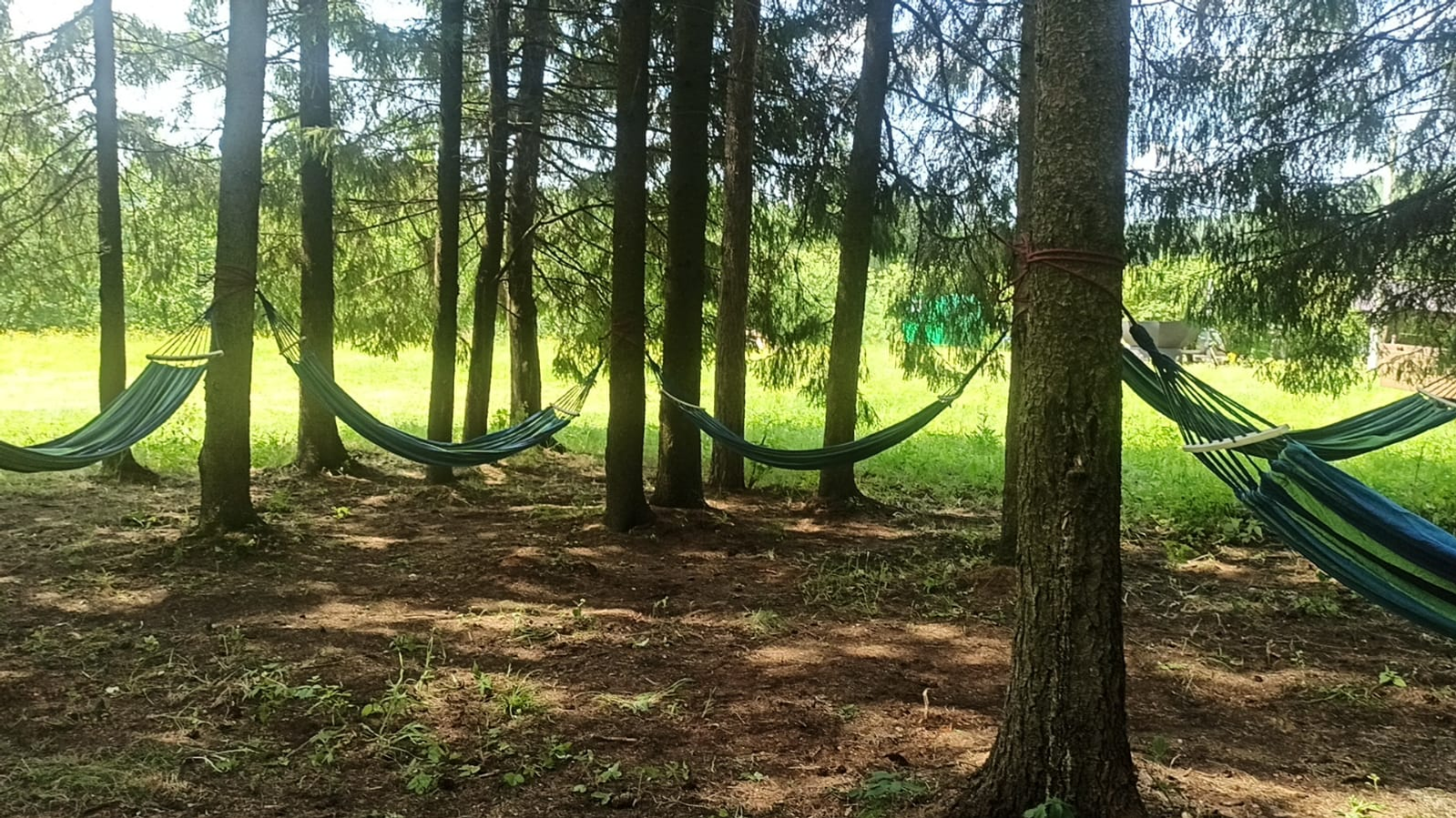 Многодетная семья развивает туризм в Башкирии благодаря социальному контракту