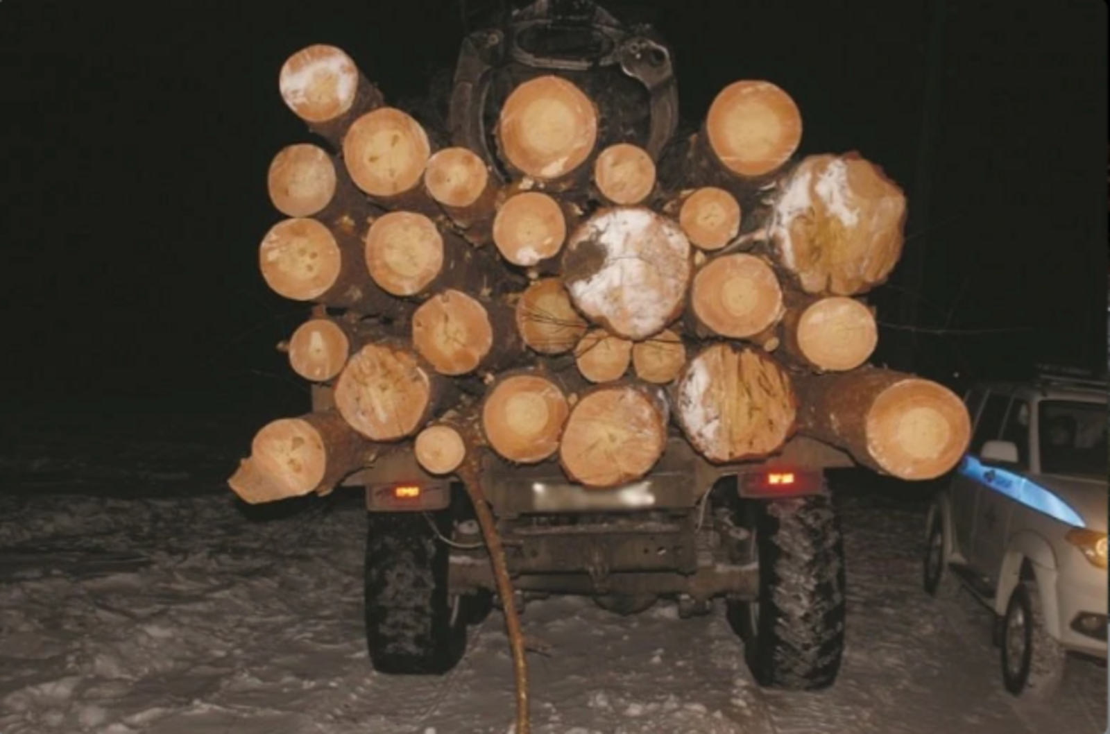 Отец с сыном попались на незаконной рубке леса в Башкирии