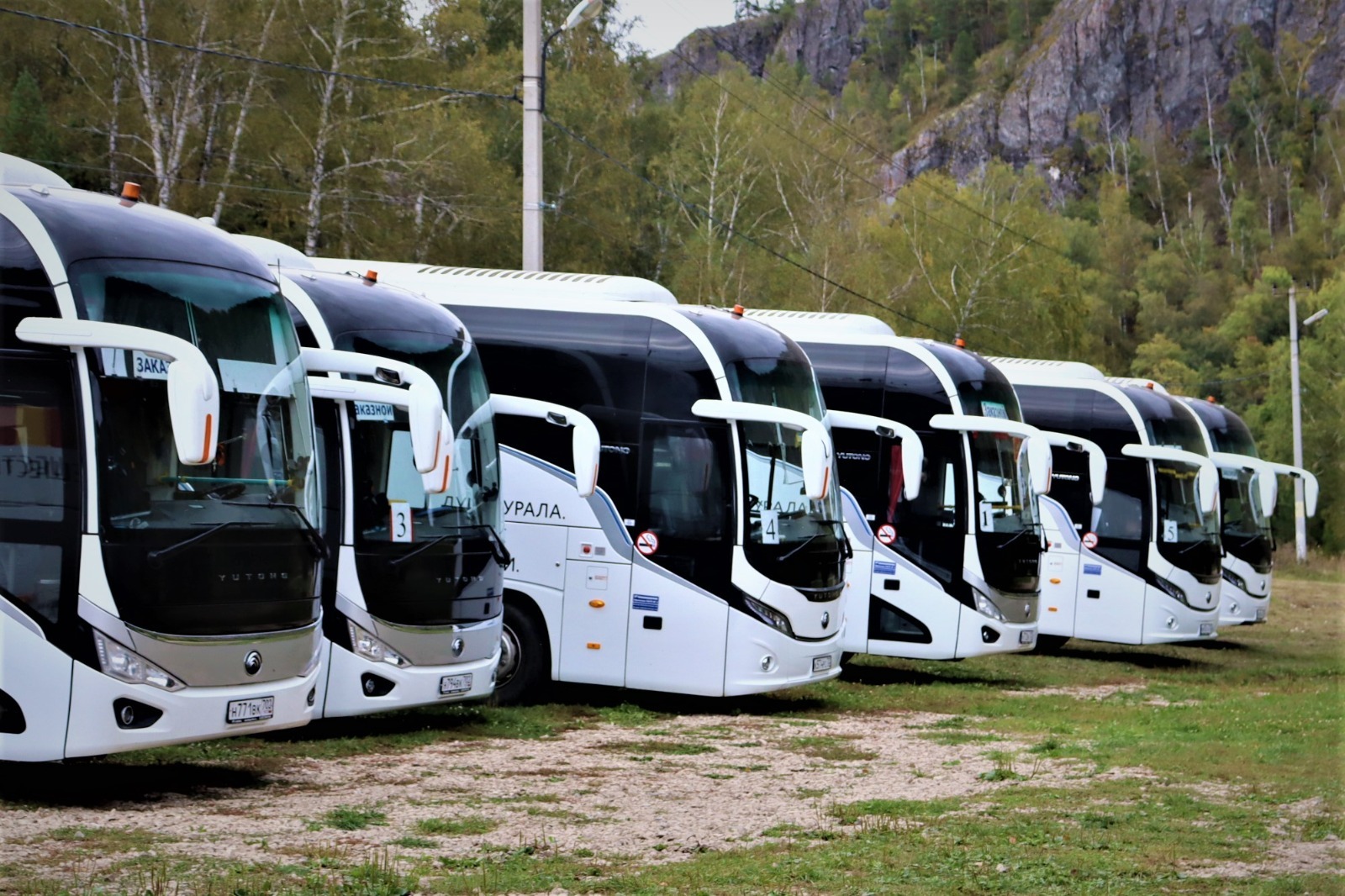 АКУНА МАТАТА, МУРАДЫМ!