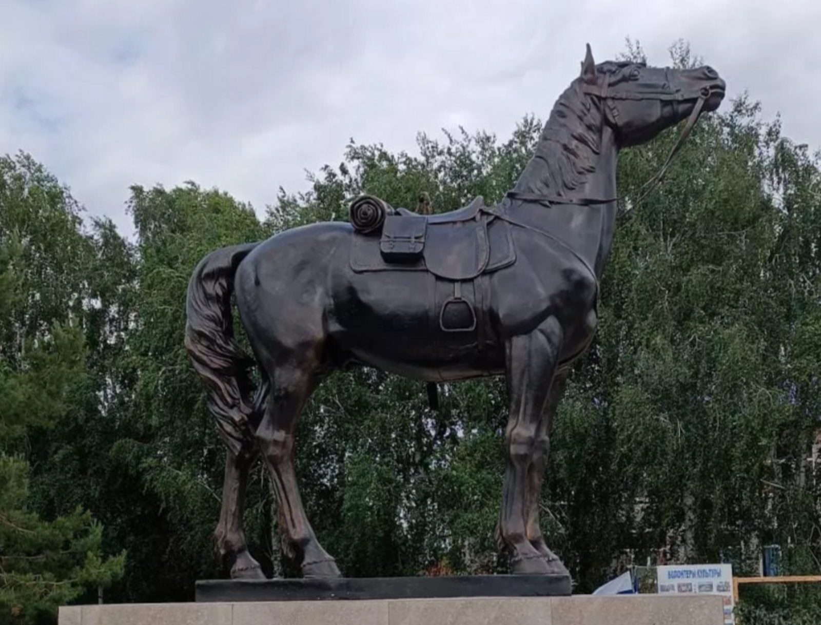 Керчь — легендарный конь Башкирской кавдивизии