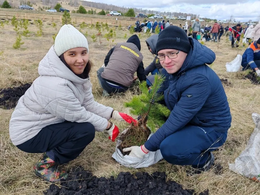 Студенты Сибайского института высадили более 2000 деревьев