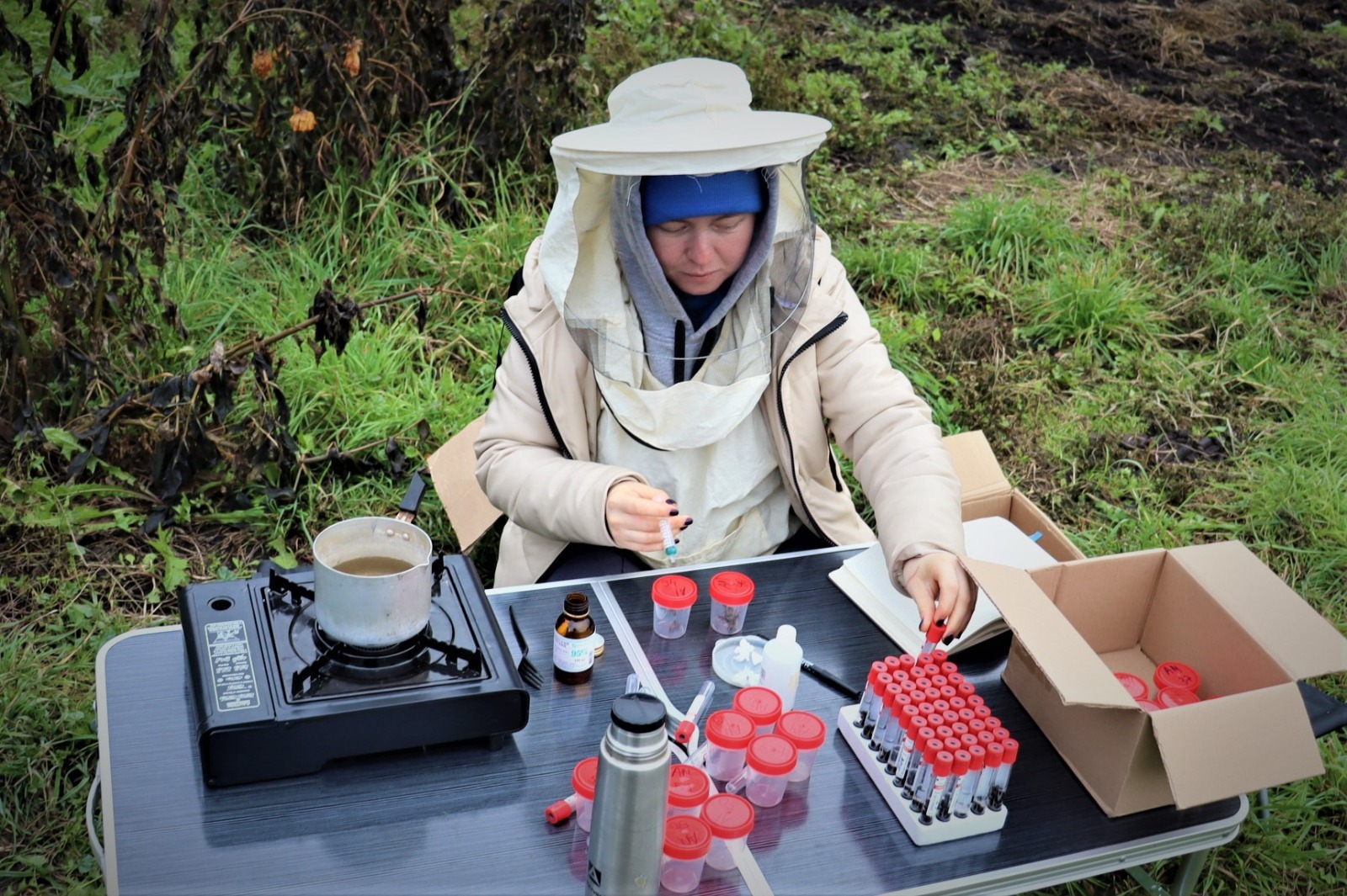 РГО  ИЗУЧАЕТ БАШКИРСКУЮ ПЧЕЛУ