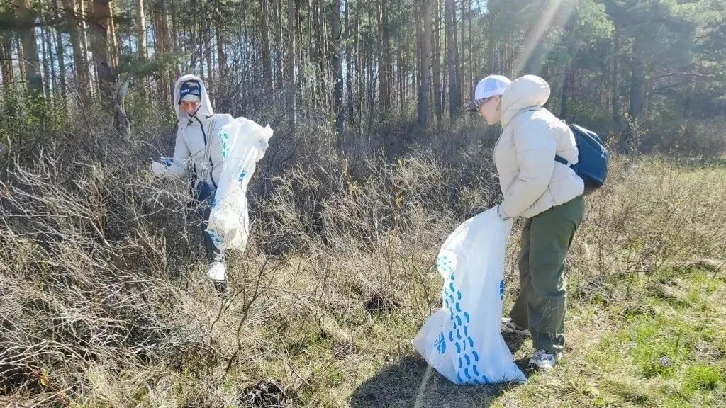 ЧИСТАЯ ТРОПА