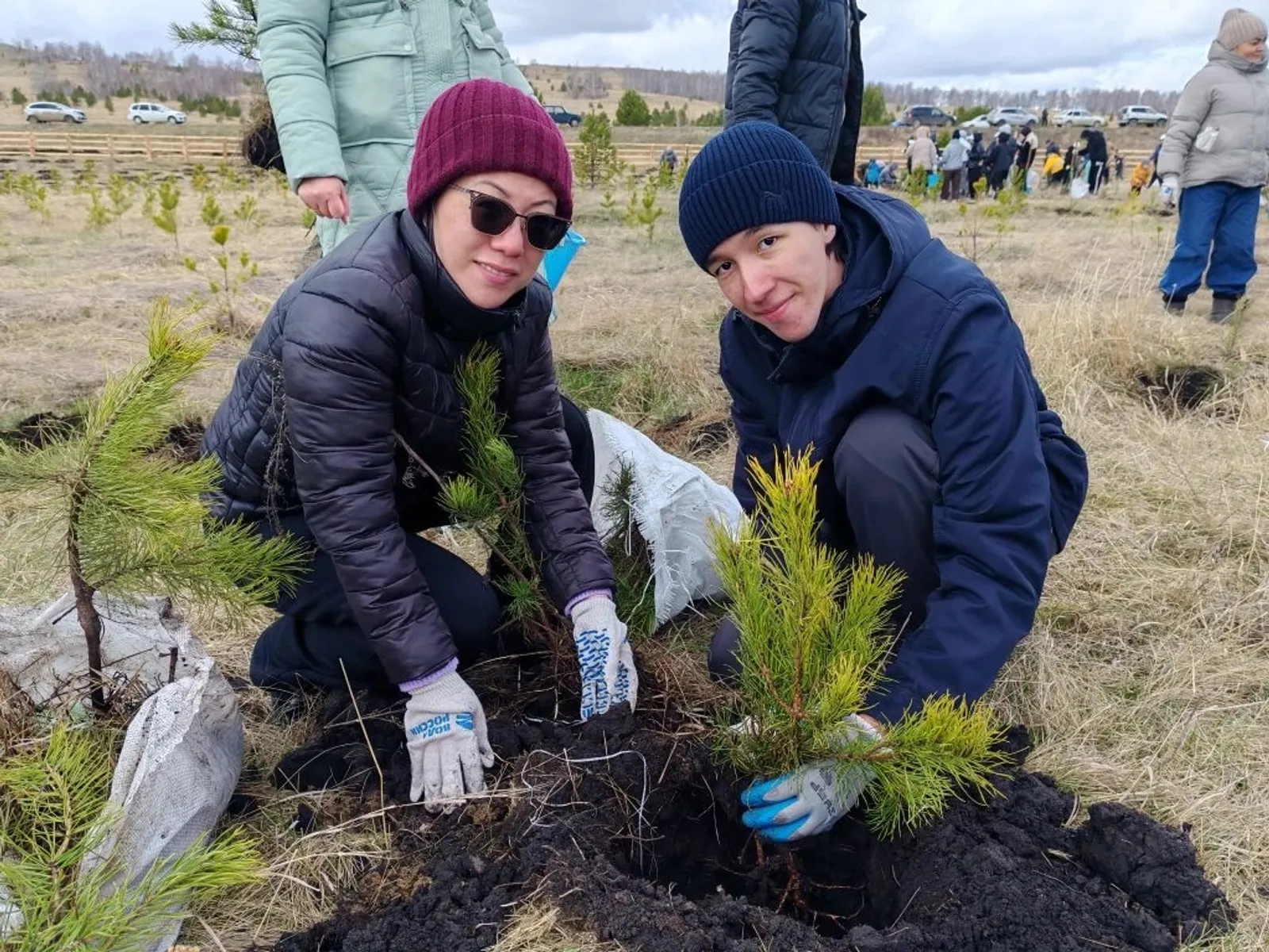 Студенты Сибайского института высадили более 2000 деревьев