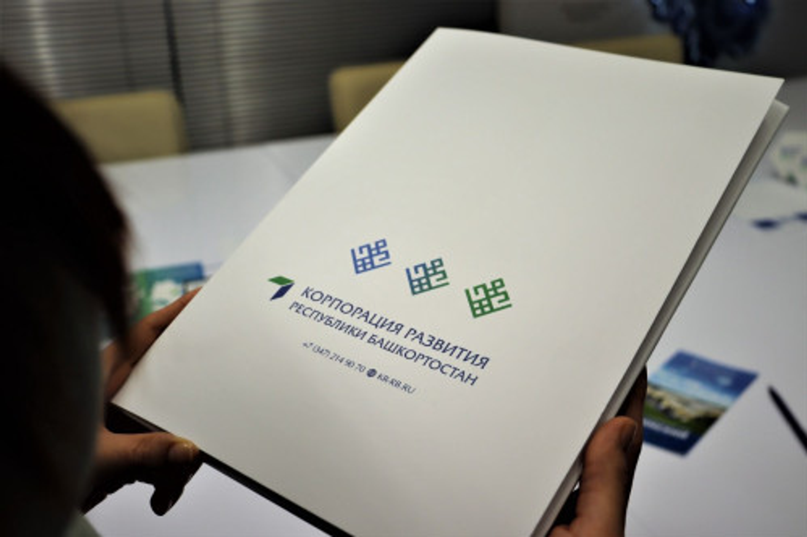 Инвесторы  в  Башкирии  получат господдержку