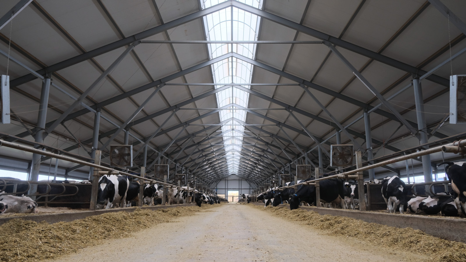 В Башкирии начнут работу пять современных молочных ферм