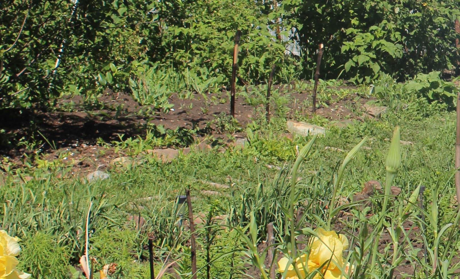 Жителям Башкирии разъяснили новый порядок использования земельных участков