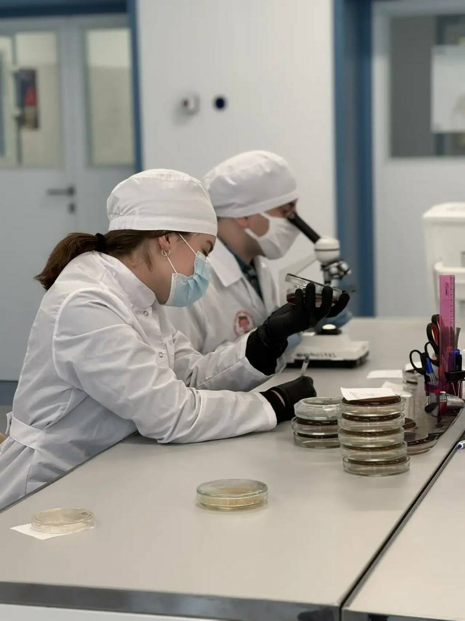 В Межвузовском кампусе создали тест для поиска «бактерии стройности»