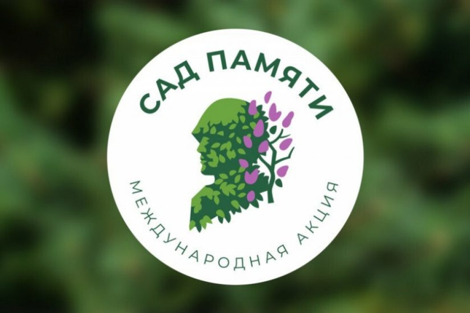 Башкирия лидирует по числу высаженных деревьев в рамках акции «Сад памяти»