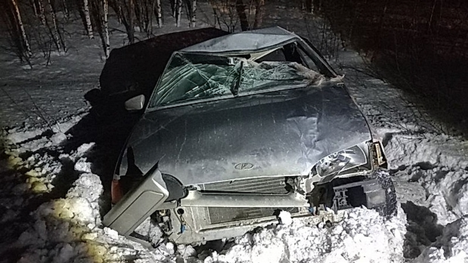 В Башкирии юный водитель сбил лося