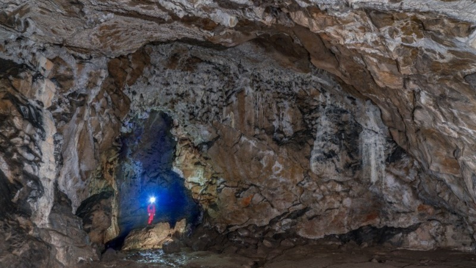 Научная сенсация: в пещере Шульган-Таш обнаружены новые рисунки