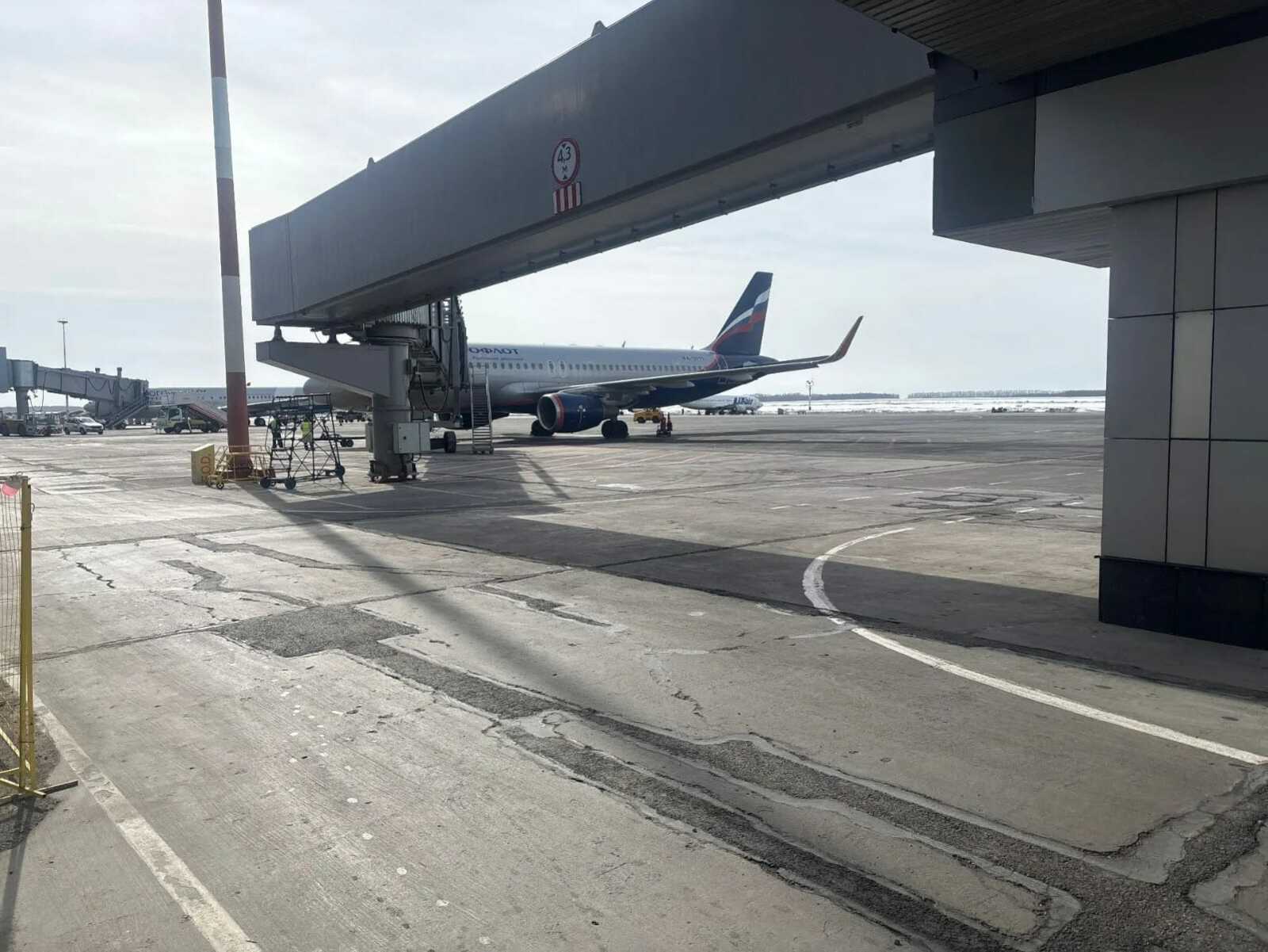 Дана оценка транспортной безопасности Международного аэропорта "Уфа"