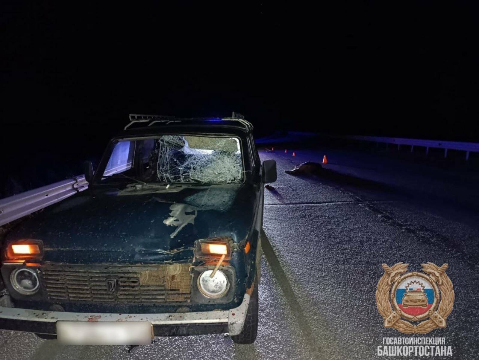 В выходные дни на дорогах Башкирии погибли два пешехода