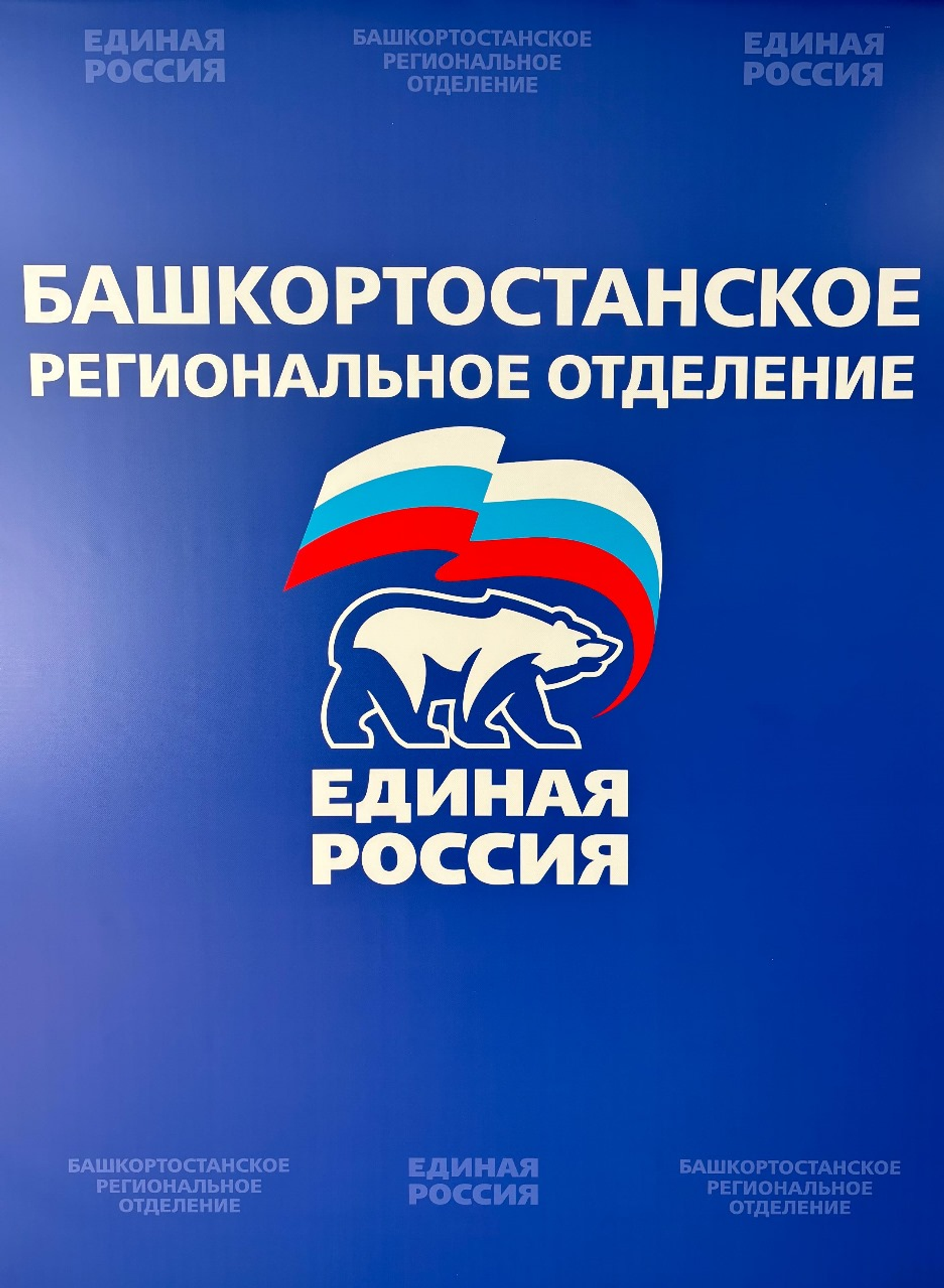 В Башкирии «Единая Россия» выдвинула кандидатов в депутаты на выборы 2025 года