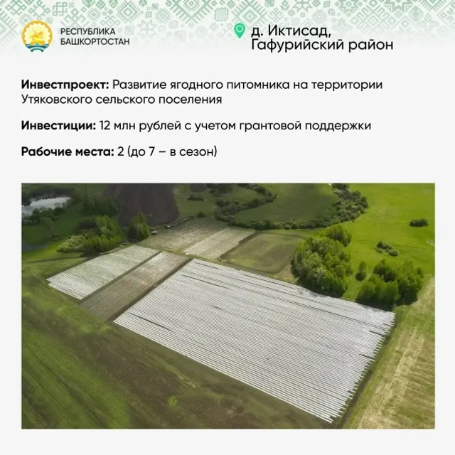 Плодоносные «Предпринимательские часы»