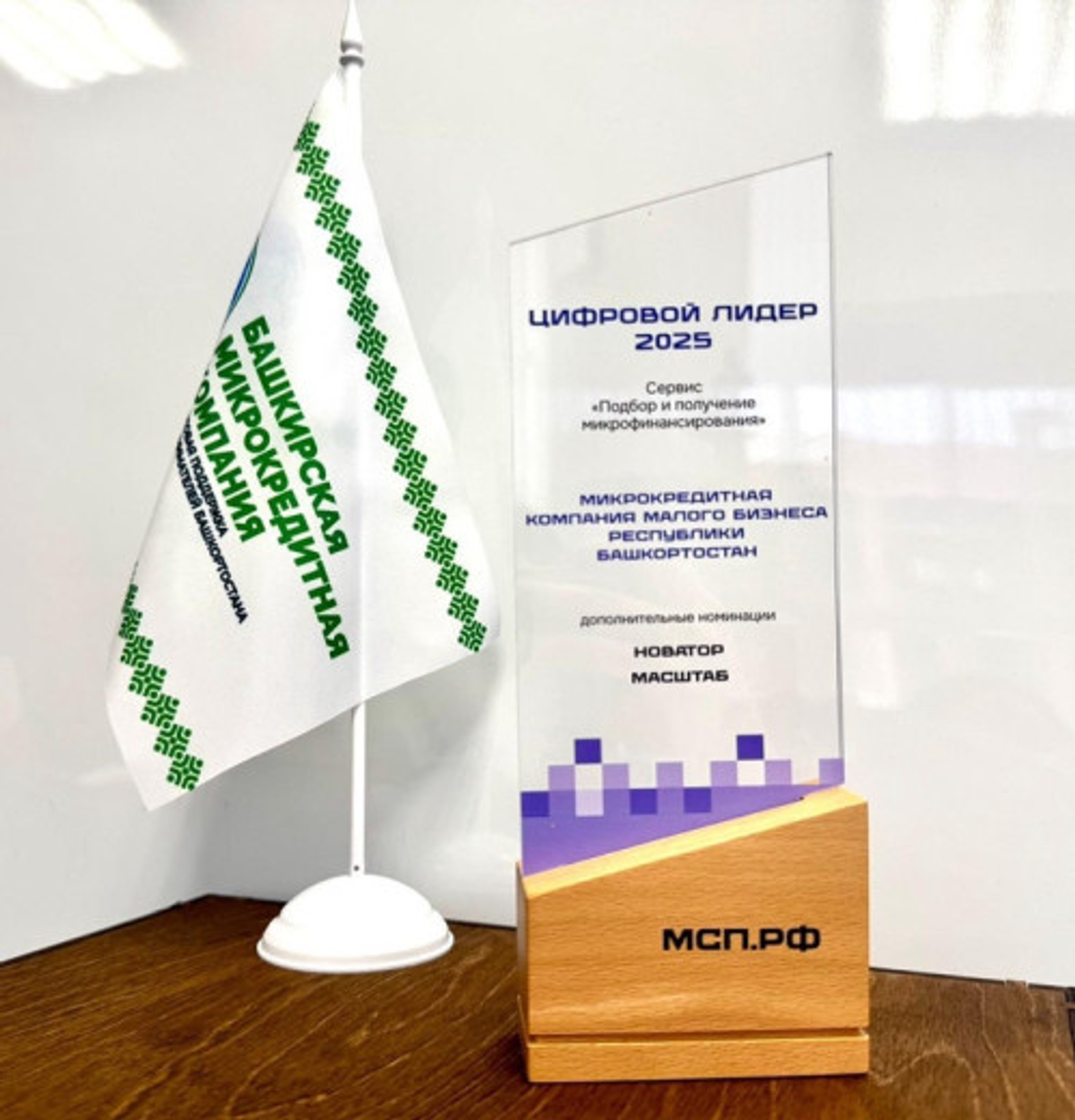 Башкортостан – в лидерах по цифровой микрофинансовой поддержке