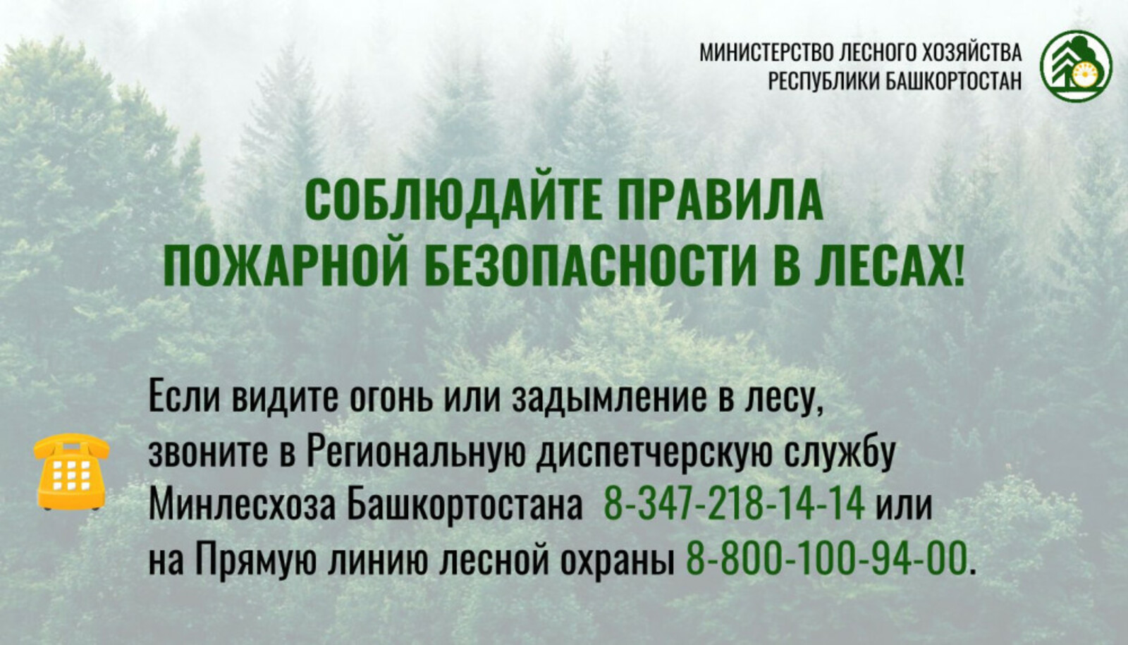 В Башкирии наблюдается высокая пожароопасность