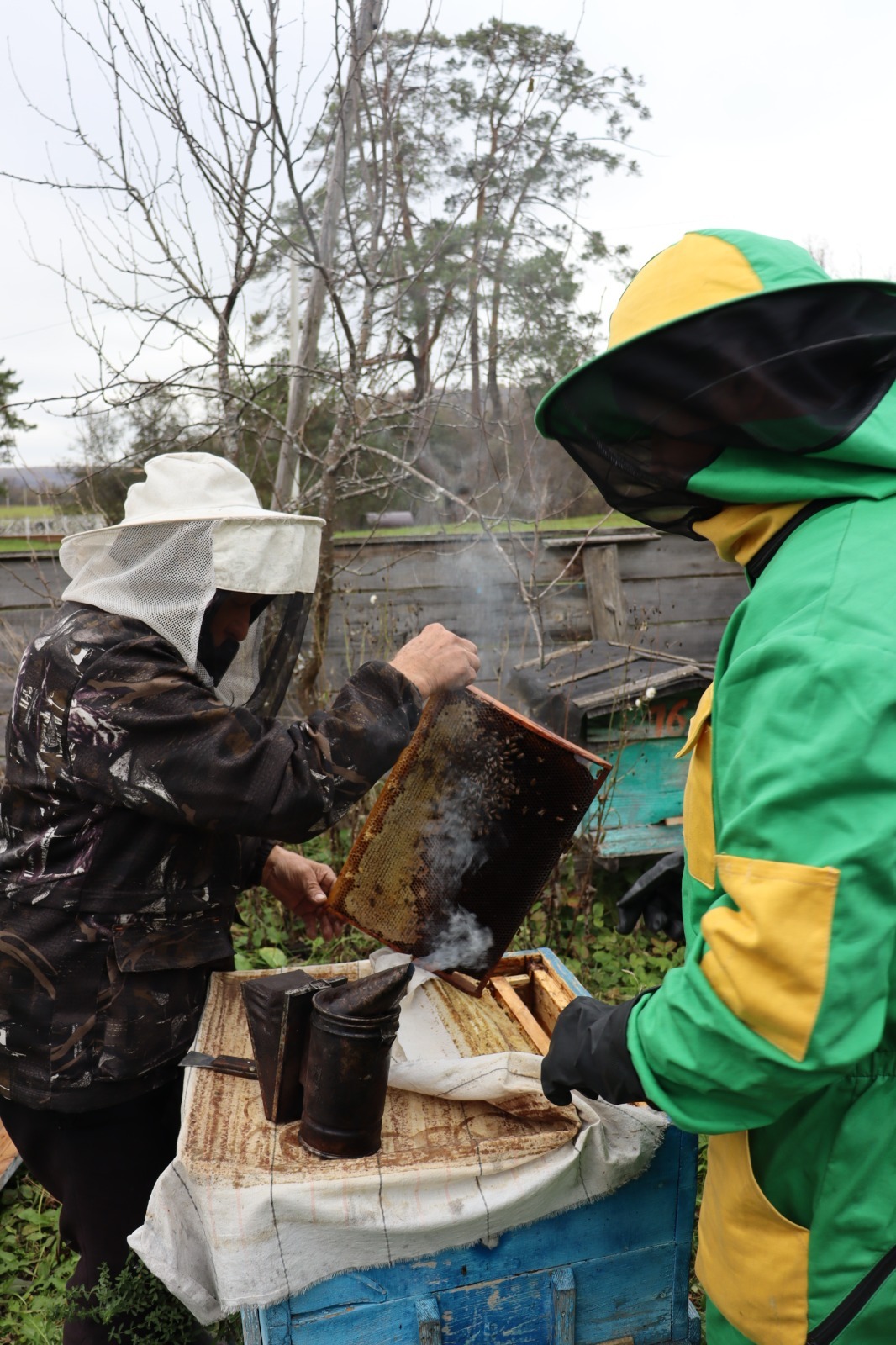 РГО  ИЗУЧАЕТ БАШКИРСКУЮ ПЧЕЛУ