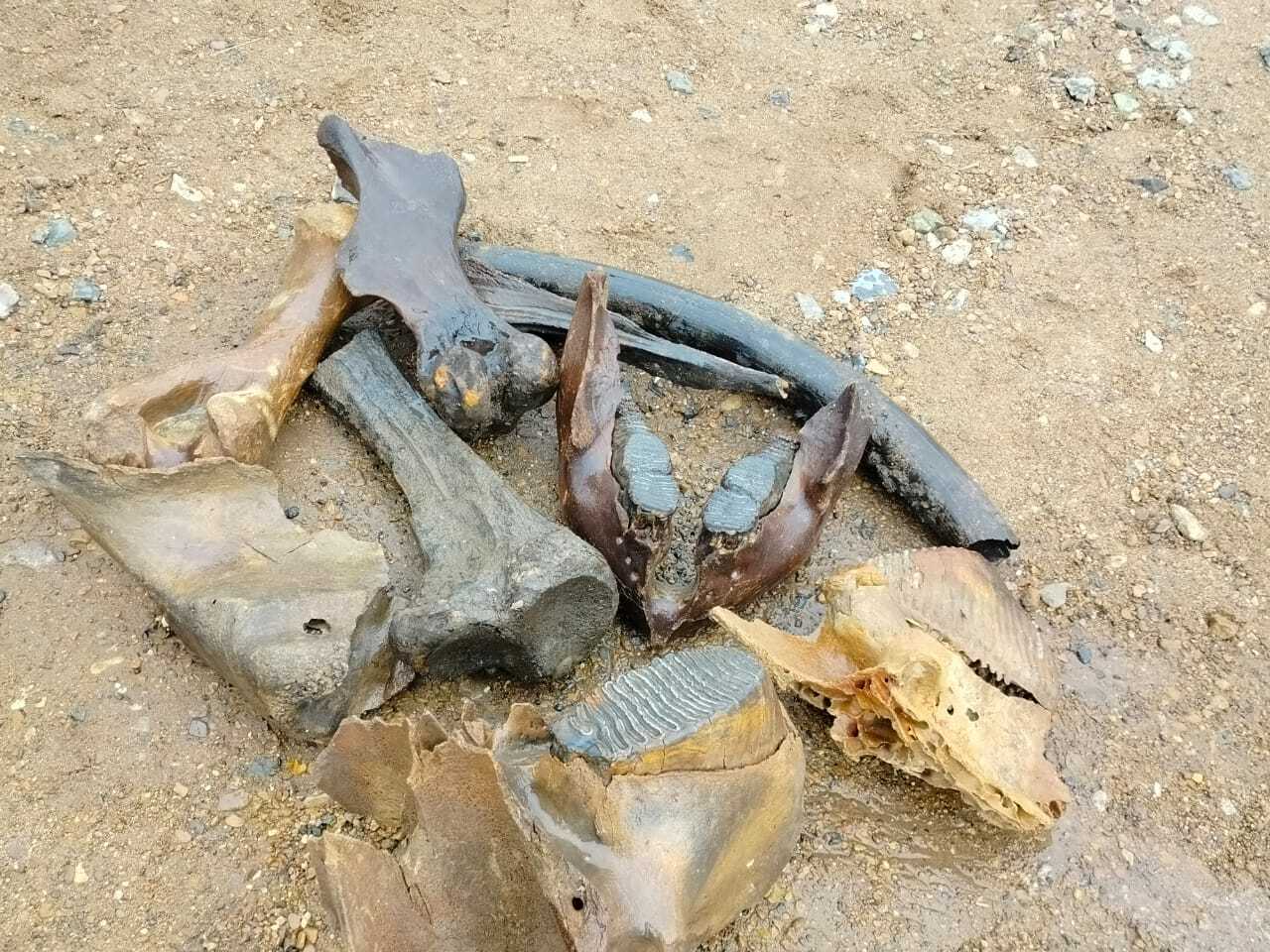 ОХОТНИКИ НА МАМОНТОВ