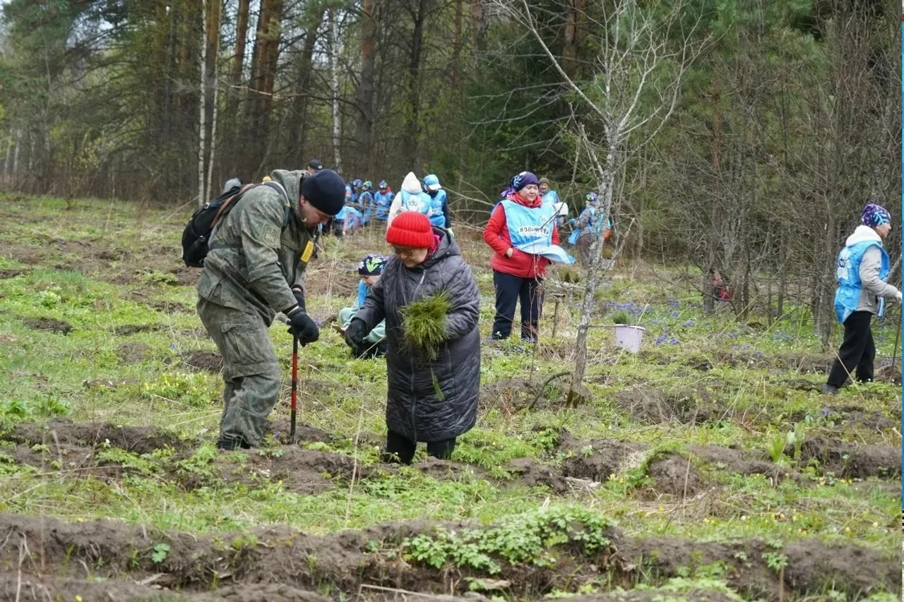 В Иглинском районе высадили «Сад памяти»