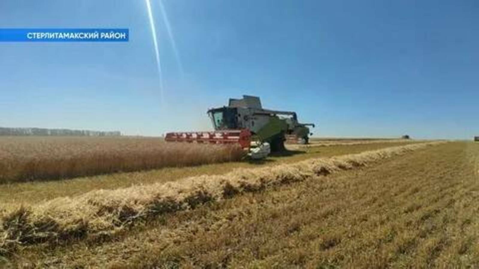 Аграрии республики ведут заготовку кормов, уборку зерновых культур и посев озимой ржи