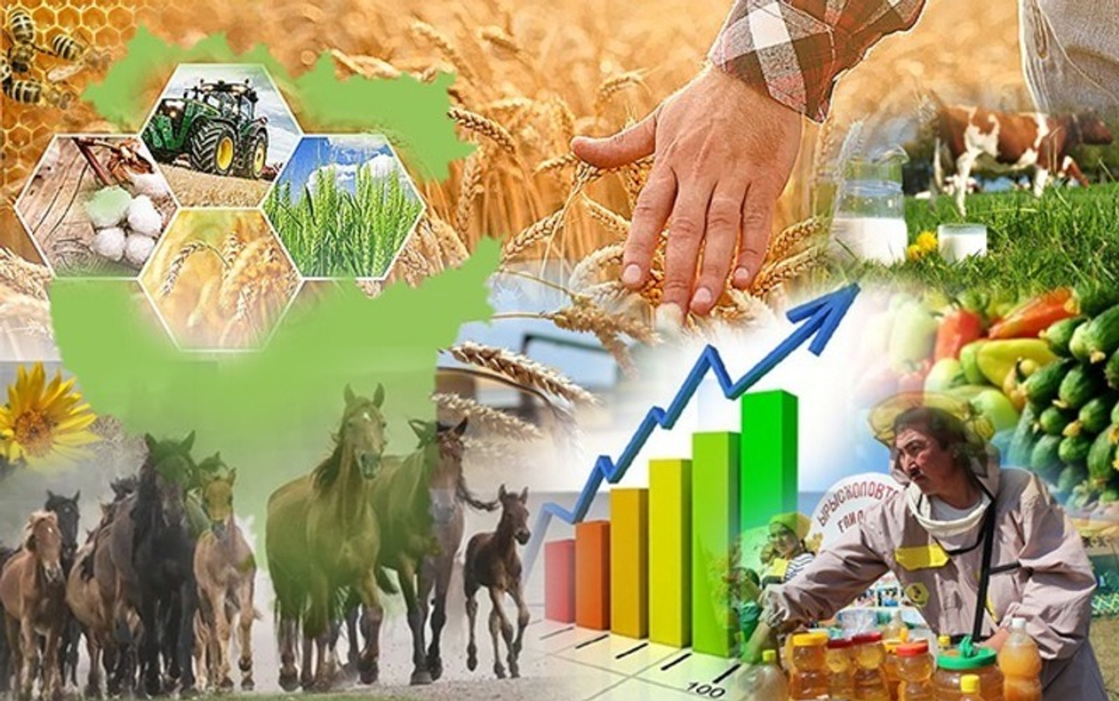 С начала года производство продукции  АПК в Башкирии превысило 80 млрд рублей