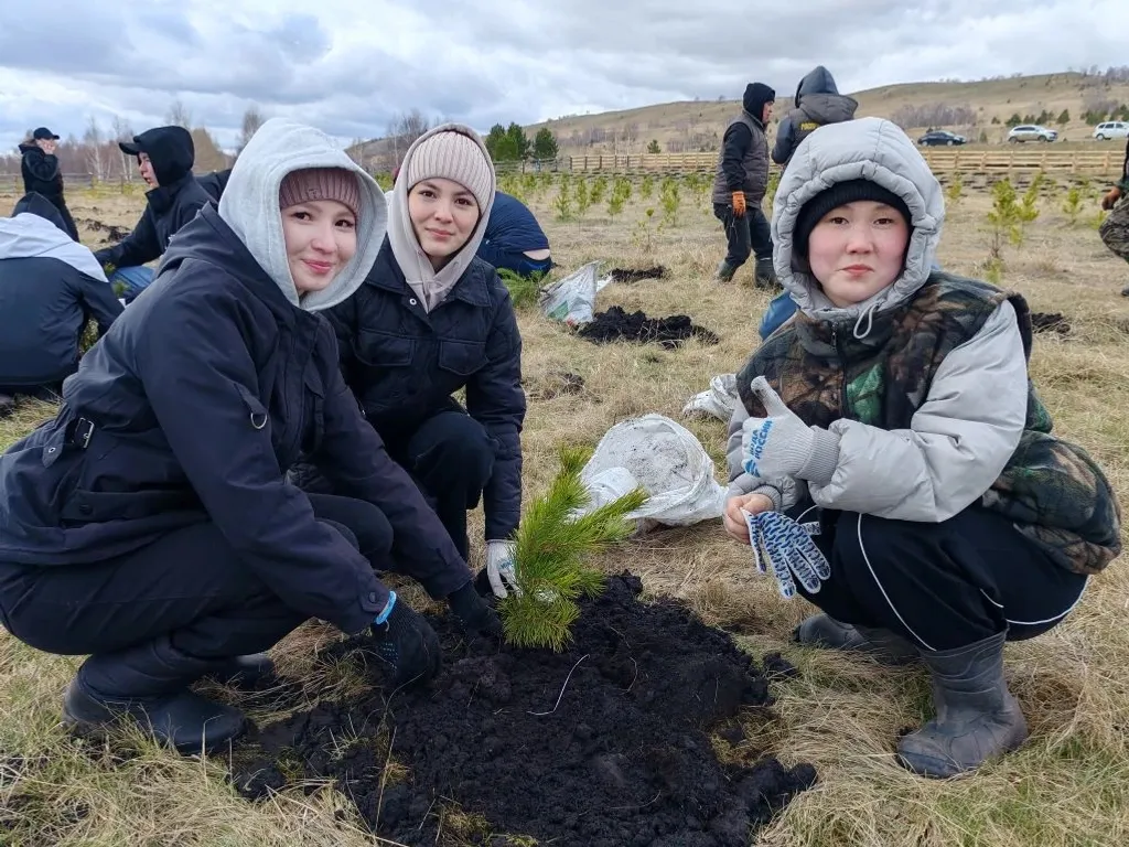 Студенты Сибайского института высадили более 2000 деревьев