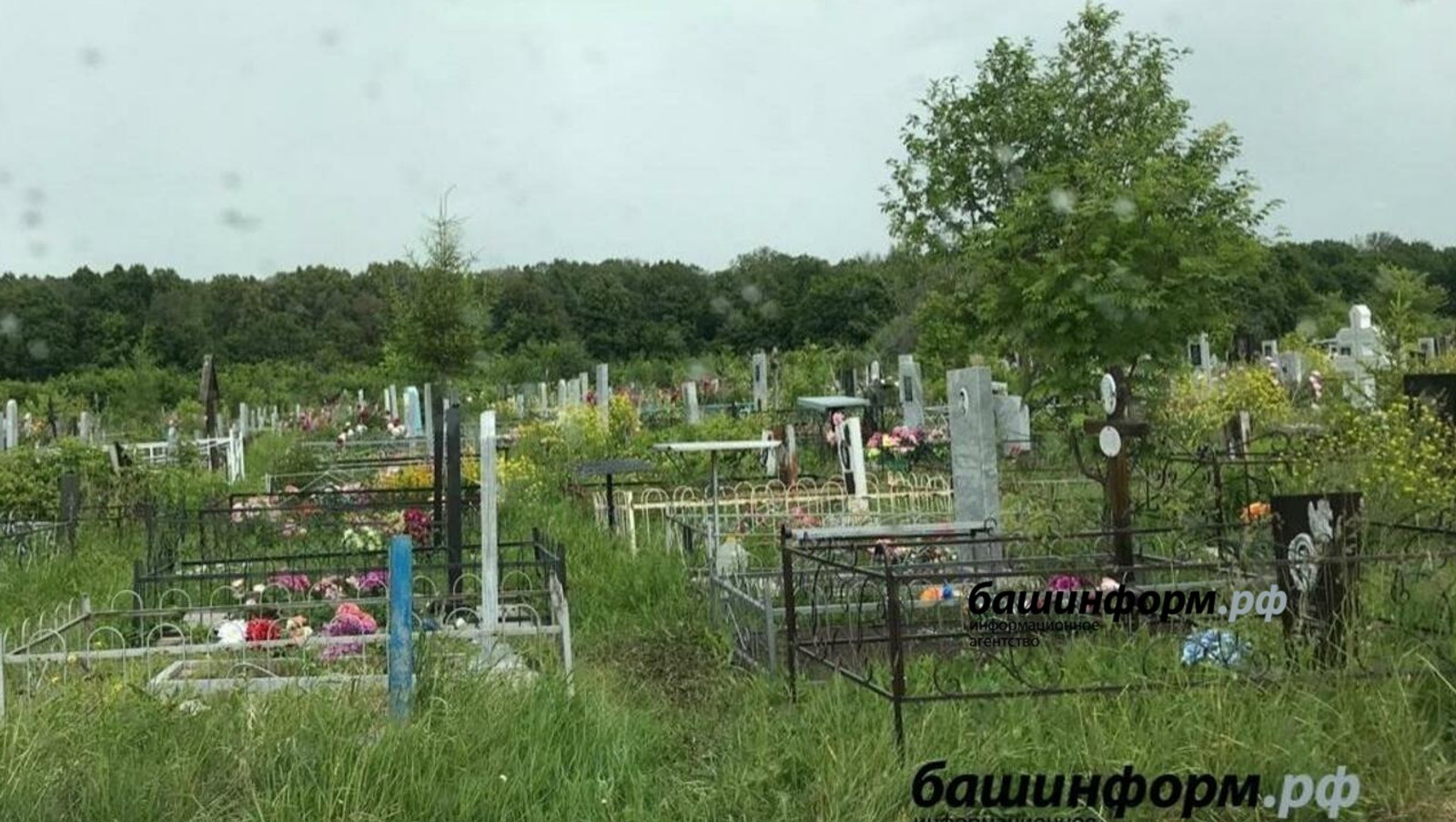 ФОТО: КСЕНИЯ КАЛИНИНА | «БАШИНФОРМ»