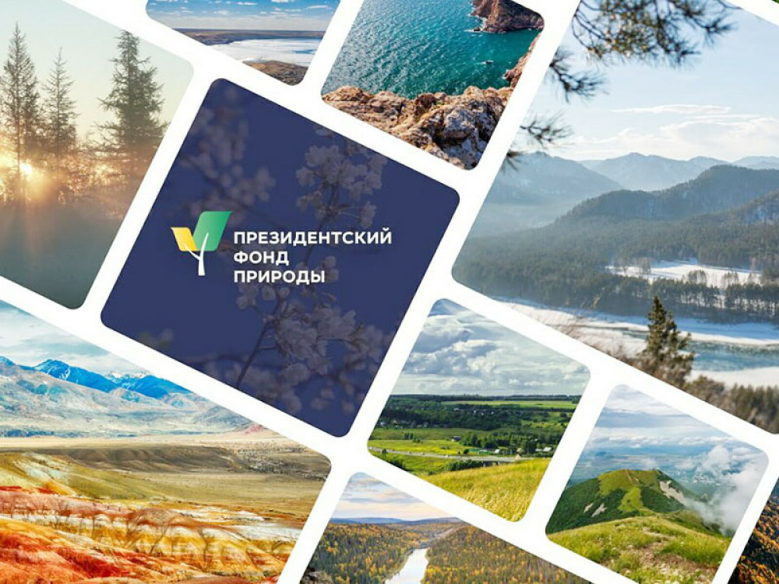 Экопроекты Башкирии прошли в финал конкурса Президентского фонда природы