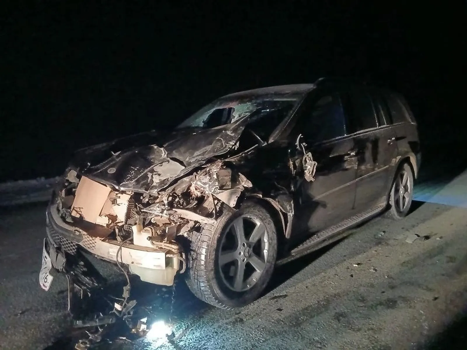 В Башкирии Mercedes наехал на табун лошадей