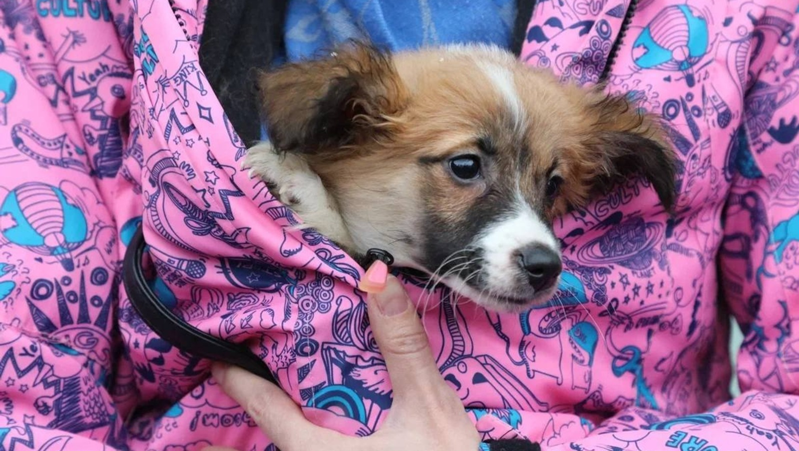 Фото: пресс-служба / администрация Уфы