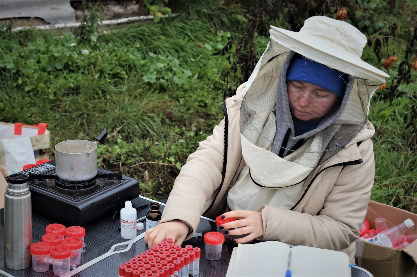 РГО  ИЗУЧАЕТ БАШКИРСКУЮ ПЧЕЛУ