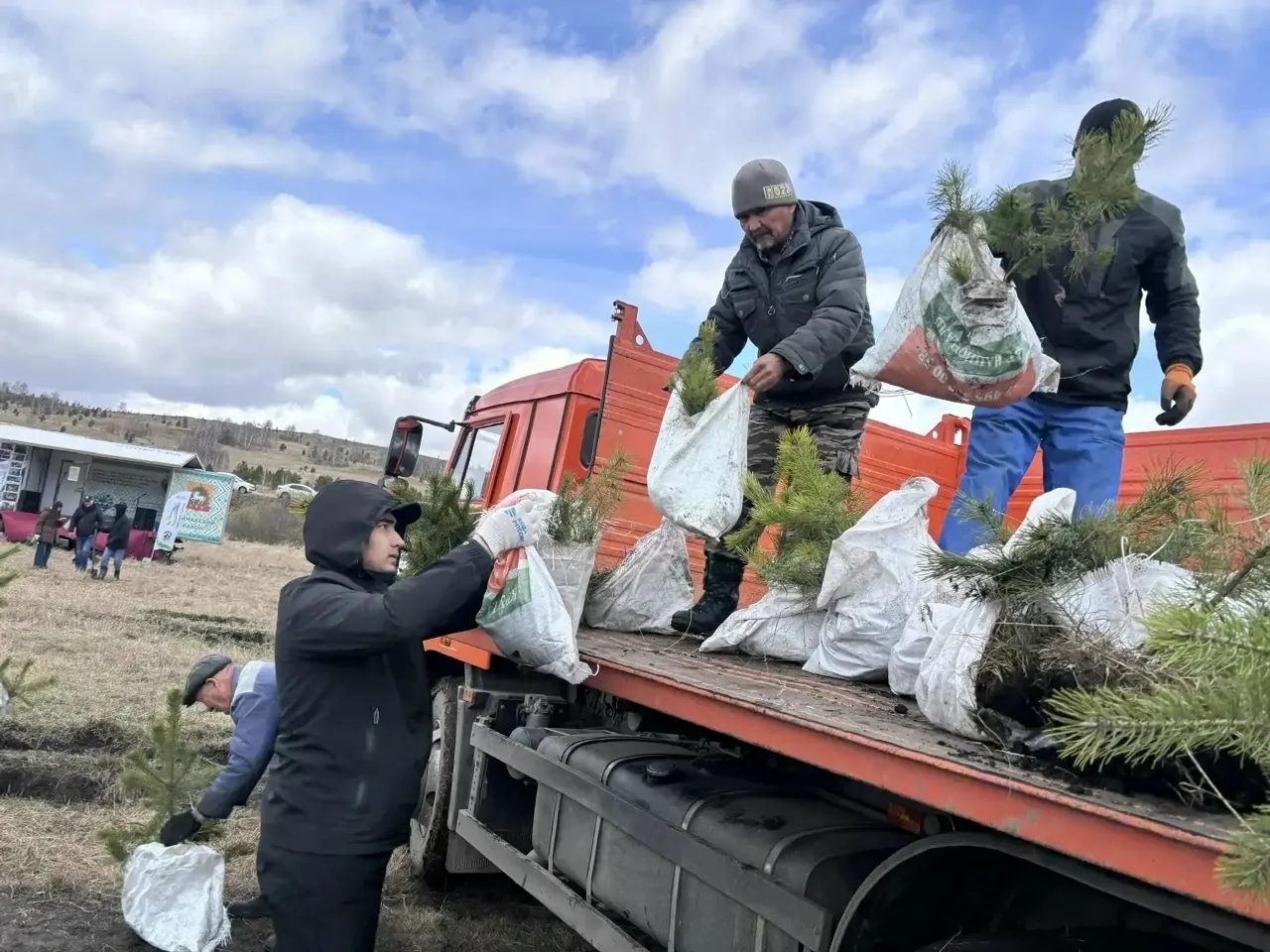 Студенты Сибайского института высадили более 2000 деревьев