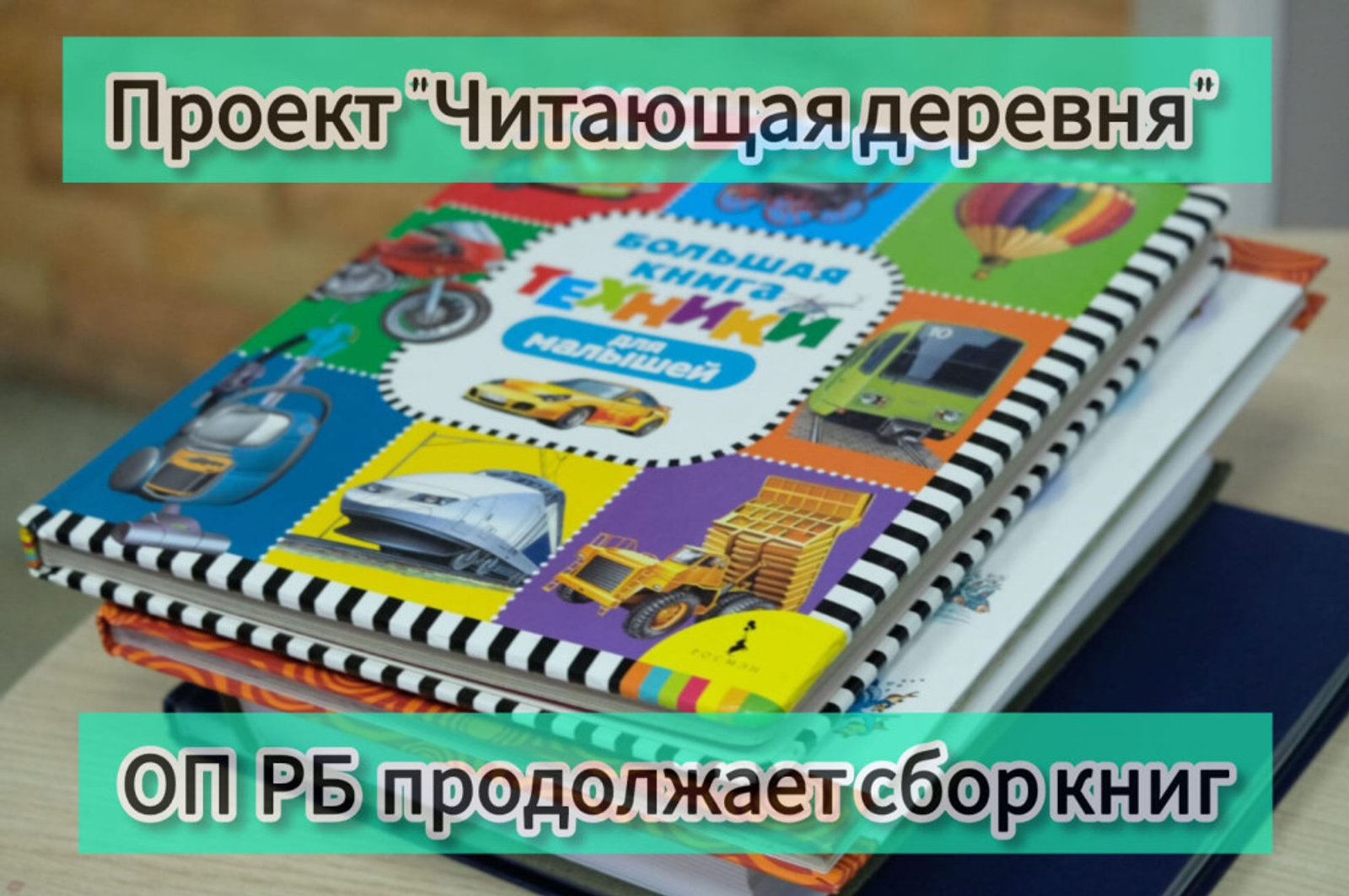 В Башкирии возобновили сбор книг в рамках проекта «Читающая деревня»