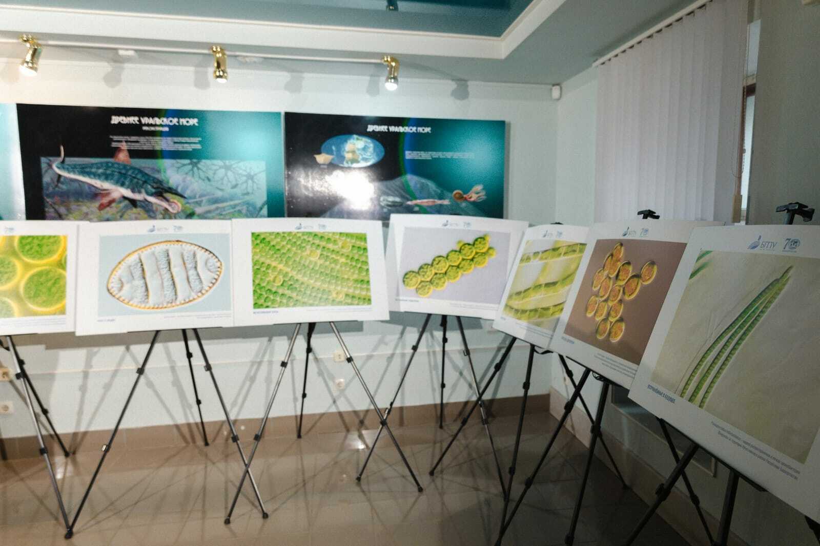 ВСЕЛЕННАЯ МИКРОМИРА