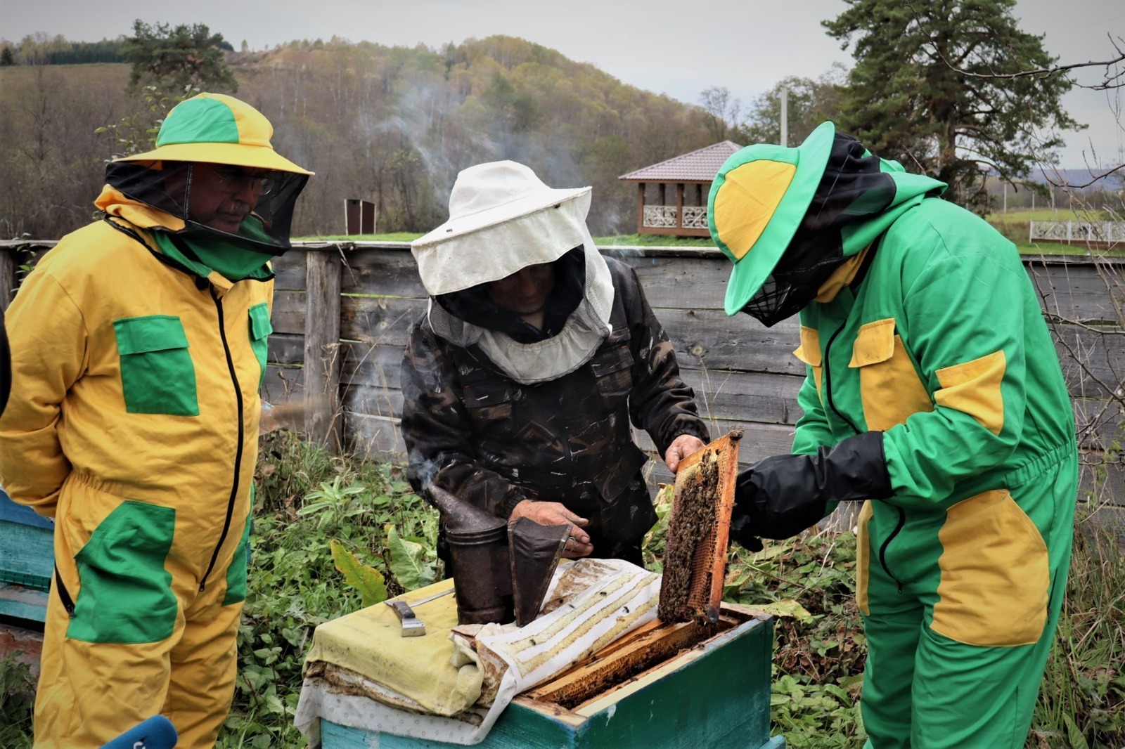 РГО  ИЗУЧАЕТ БАШКИРСКУЮ ПЧЕЛУ