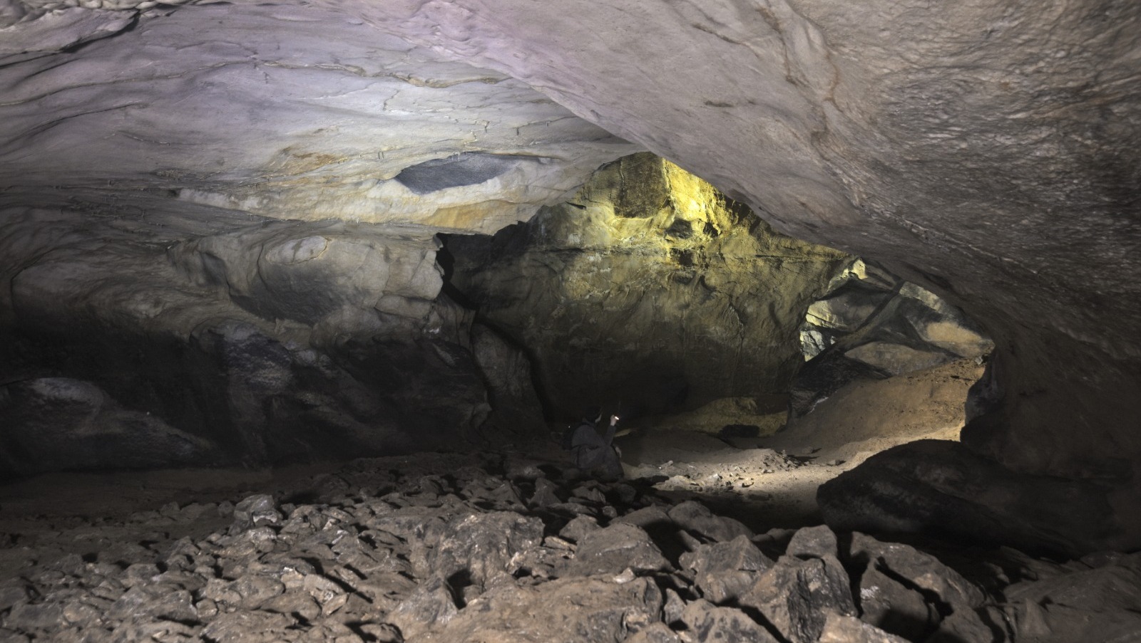 В пещере Шульган-Таш обнаружили рельефные изображения копытных