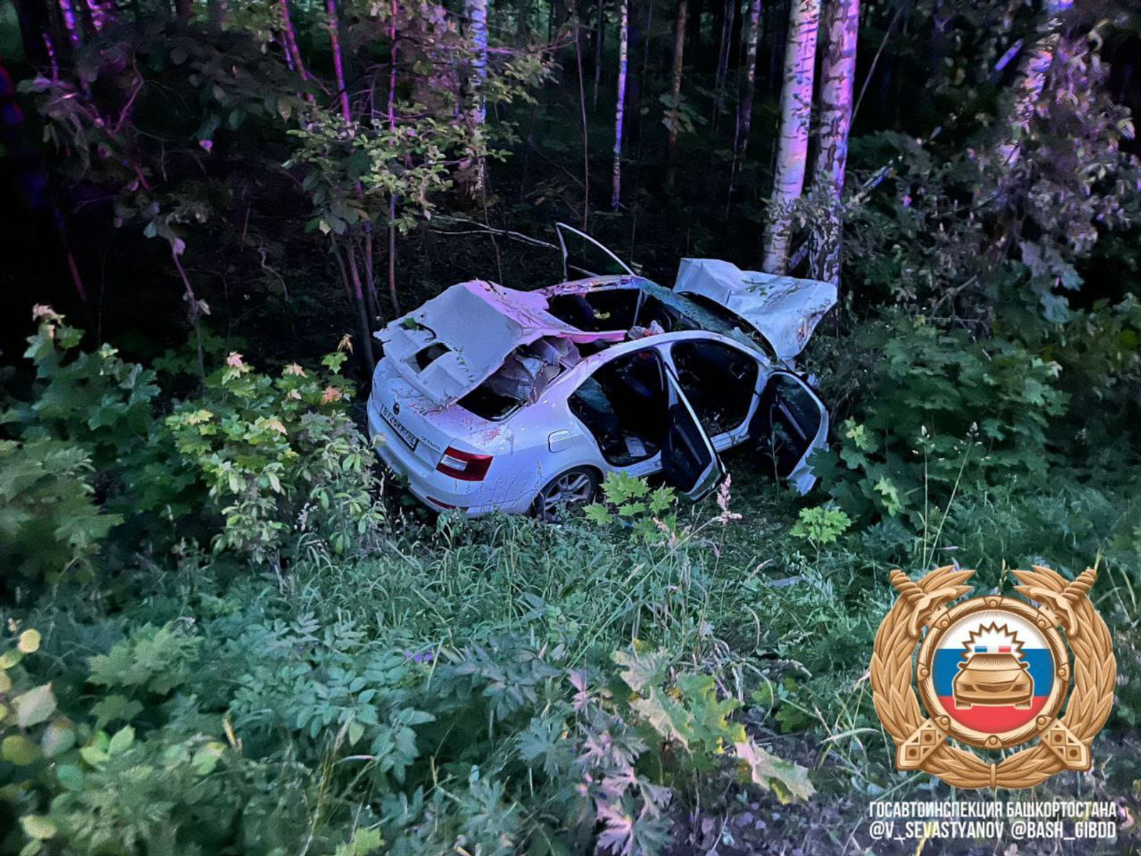 В Башкирии мужчина и ребенок погибли в ДТП после столкновения с лосем