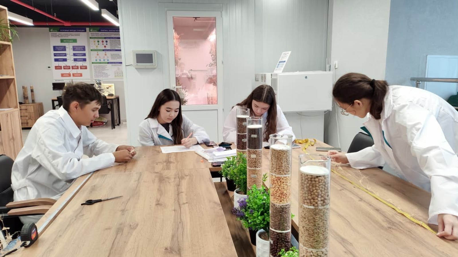 В Межвузовском кампусе Уфы завершен эксперимент по гибридизации гороха