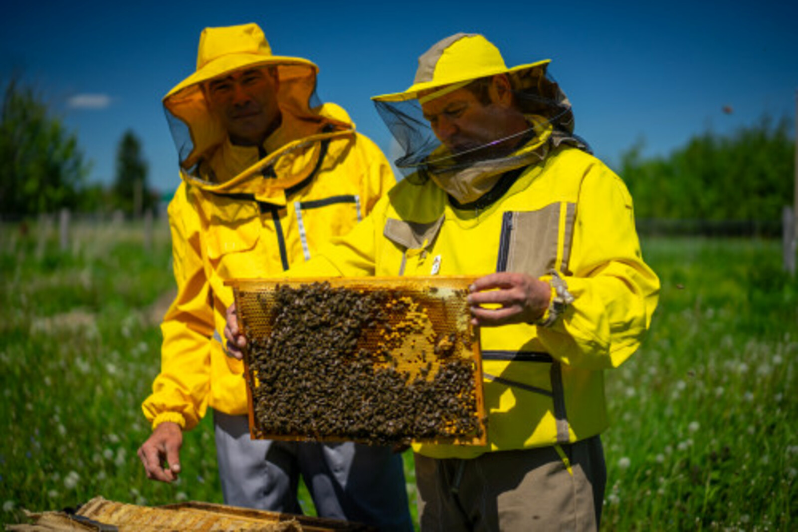 Фермеры Башкирии получили грант «Семейная ферма» на 45 млн рублей