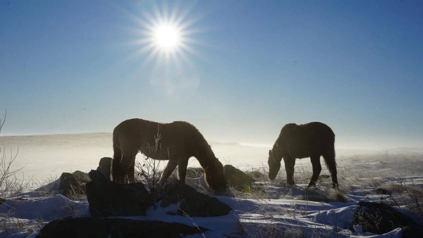 Радий Хабиров в социальных сетях поделился настроением