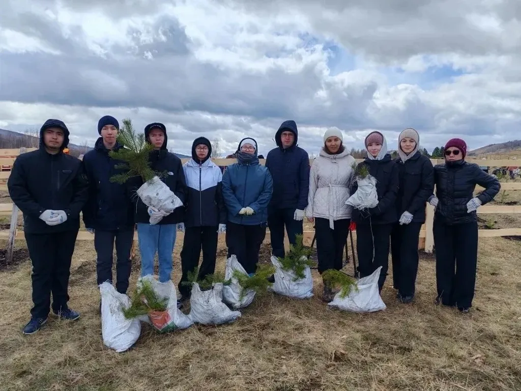 Студенты Сибайского института высадили более 2000 деревьев