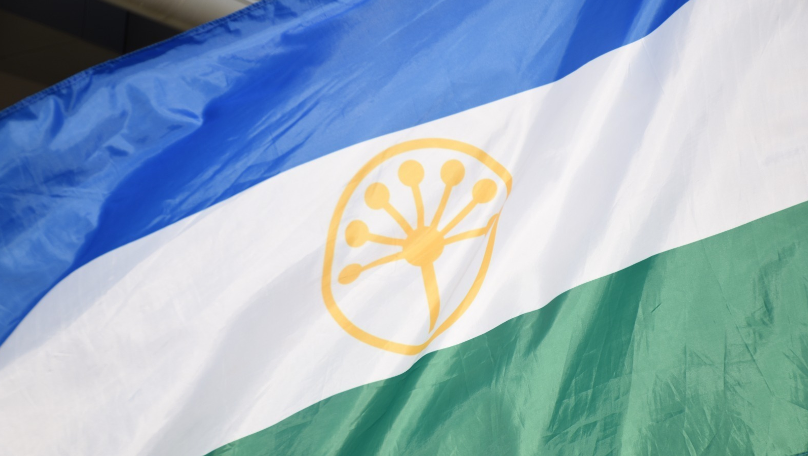 Фото: Эдуард Кускарбеков / «Башинформ»